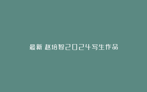 最新!赵培智2024写生作品