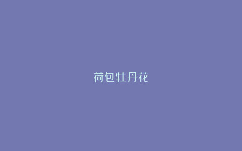 荷包牡丹花