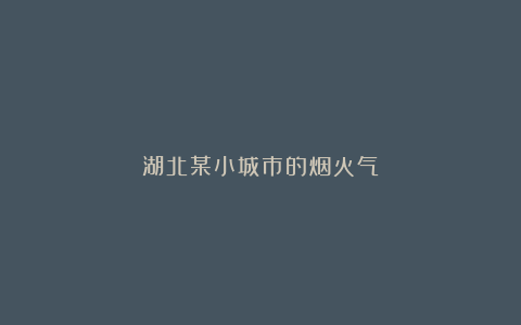 湖北某小城市的烟火气