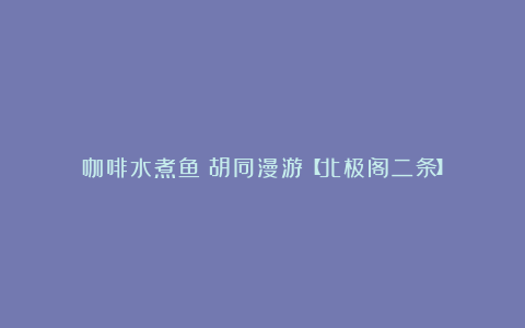 咖啡水煮鱼:胡同漫游【北极阁二条】