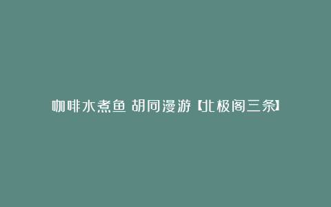 咖啡水煮鱼:胡同漫游【北极阁三条】