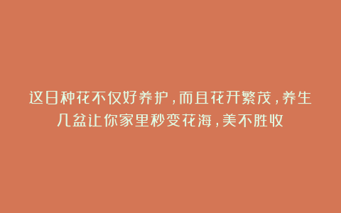 这8种花不仅好养护,而且花开繁茂,养生几盆让你家里秒变花海,美不胜收!