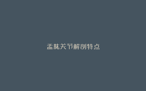 盂肱关节解剖特点