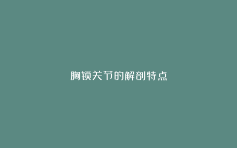 胸锁关节的解剖特点
