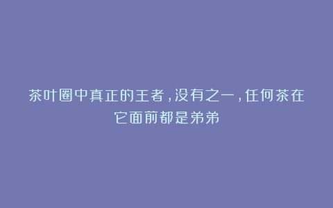 茶叶圈中真正的王者,没有之一,任何茶在它面前都是弟弟