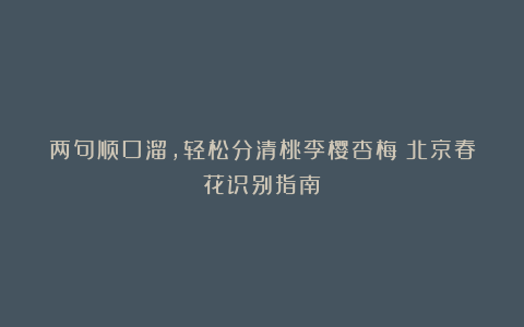 两句顺口溜,轻松分清桃李樱杏梅丨北京春花识别指南