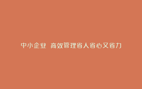 中小企业 高效管理省人省心又省力