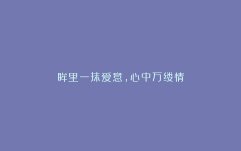 眸里一抹爱意,心中万缕情