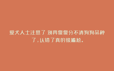 爱犬人士注意了!别再傻傻分不清狗狗品种了,认错了真的很尴尬。
