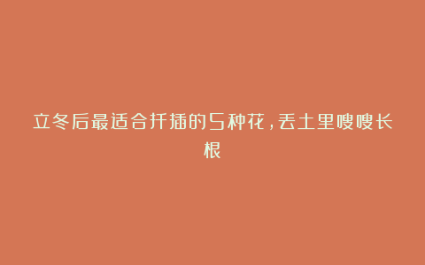 立冬后最适合扦插的5种花,丢土里嗖嗖长根!