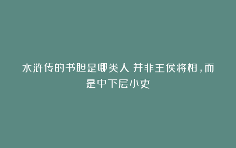 水浒传的书胆是哪类人?并非王侯将相,而是中下层小吏