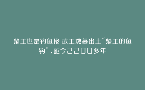 楚王也是钓鱼佬?武王墩墓出土“楚王的鱼钩”,距今2200多年
