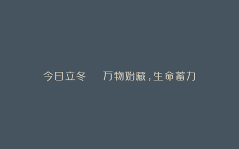 今日立冬 | 万物始藏,生命蓄力