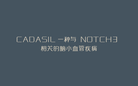 CADASIL:一种与 NOTCH3 相关的脑小血管疾病