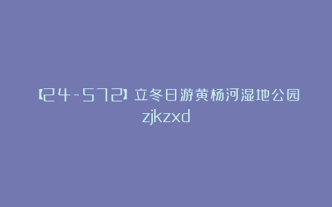 【24-572】立冬日游黄杨河湿地公园zjkzxd