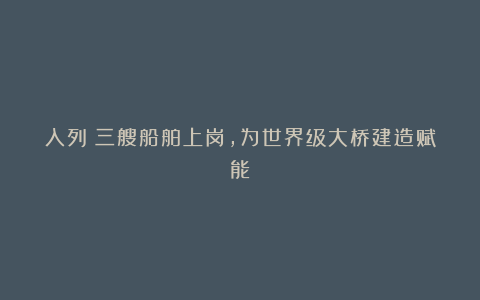 入列!三艘船舶上岗,为世界级大桥建造赋能