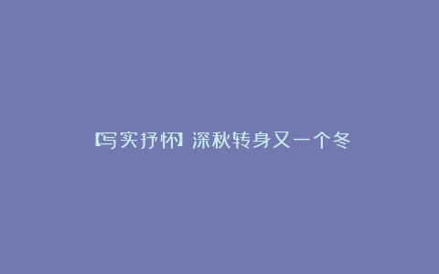 【写实抒怀】深秋转身又一个冬