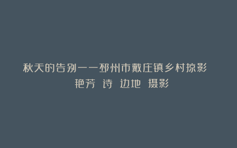 秋天的告别一一邳州市戴庄镇乡村掠影 | 艳芳 诗 边地 摄影