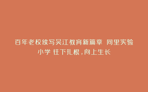 百年老校续写吴江教育新篇章⑤|同里实验小学:往下扎根,向上生长
