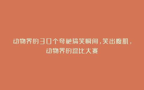 动物界的30个奇葩搞笑瞬间,笑出腹肌,动物界的逗比大赛