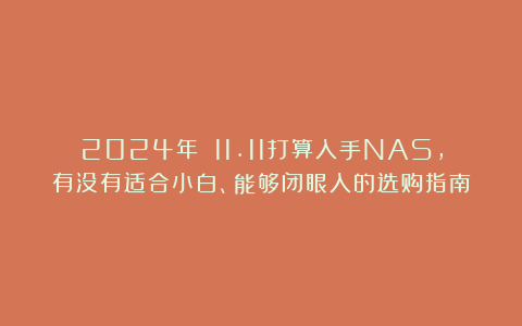 2024年 11.11打算入手NAS,有没有适合小白、能够闭眼入的选购指南