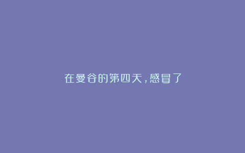 在曼谷的第四天,感冒了