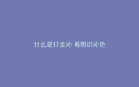 什么是钉金沁?看图识沁色