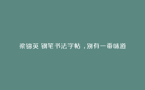梁锦英《钢笔书法字帖》,别有一番味道
