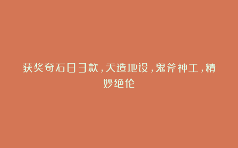 获奖奇石83款,天造地设,鬼斧神工,精妙绝伦