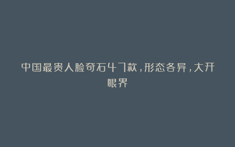 中国最贵人脸奇石47款,形态各异,大开眼界