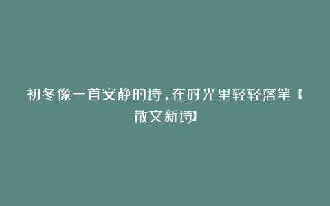 初冬像一首安静的诗,在时光里轻轻落笔【散文新诗】