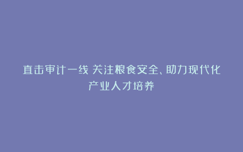 直击审计一线:关注粮食安全、助力现代化产业人才培养