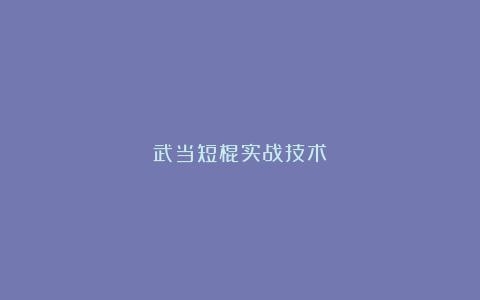 武当短棍实战技术