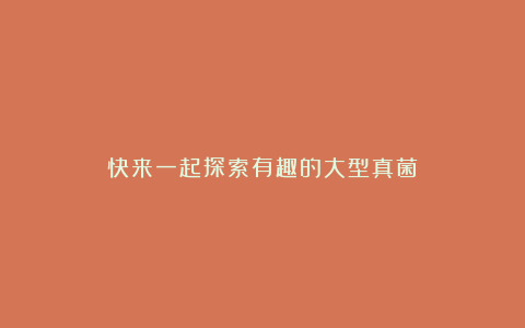 快来一起探索有趣的大型真菌!
