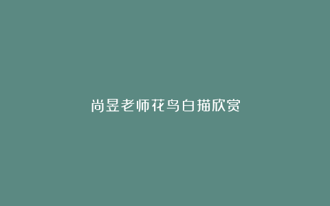 尚昱老师花鸟白描欣赏