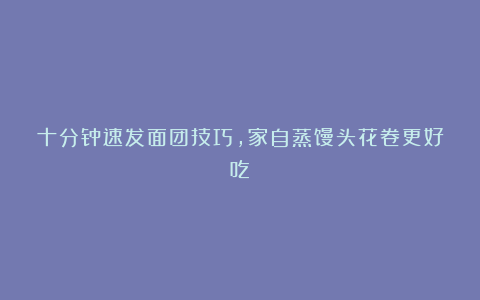 十分钟速发面团技巧,家自蒸馒头花卷更好吃!