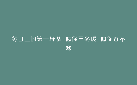 冬日里的第一杯茶 愿你三冬暖 愿你春不寒