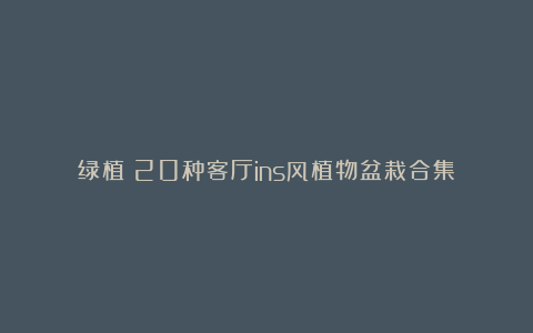 绿植｜20种客厅ins风植物盆栽合集