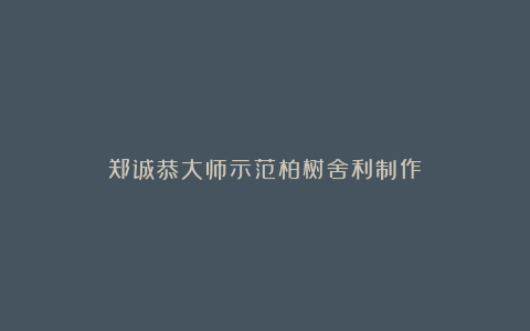 郑诚恭大师示范柏树舍利制作