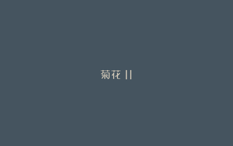 菊花（11）
