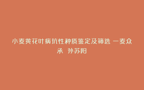 小麦黄花叶病抗性种质鉴定及筛选(一麦众承 孙苏阳)