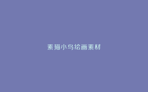 素描小鸟绘画素材