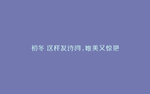初冬:这样发诗词,唯美又惊艳