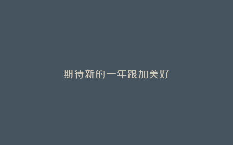 期待新的一年跟加美好