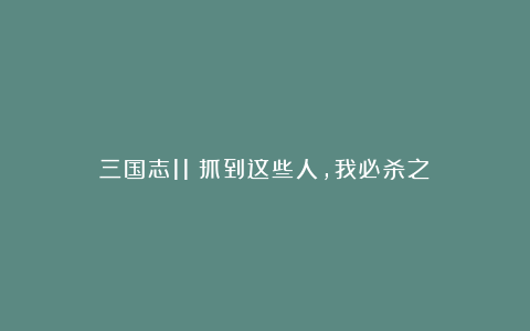 三国志11:抓到这些人,我必杀之!