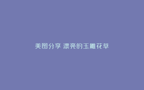 美图分享:漂亮的玉雕花草