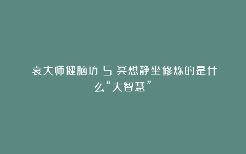 《袁大师健脑坊》5：冥想静坐修炼的是什么“大智慧”？