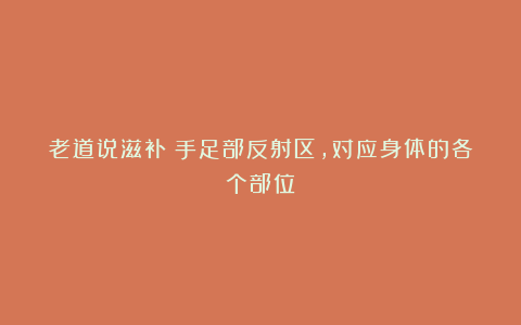 老道说滋补：手足部反射区，对应身体的各个部位