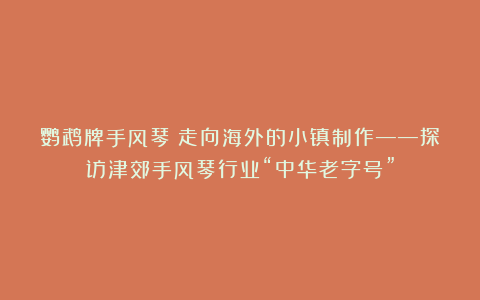 鹦鹉牌手风琴:走向海外的小镇制作——探访津郊手风琴行业“中华老字号”