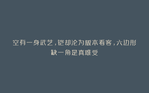 空有一身武艺,铠却沦为版本看客,六边形缺一角是真难受